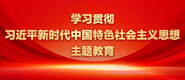 www.操黑逼学习贯彻习近平新时代中国特色社会主义思想主题教育_fororder_ad-371X160(2)